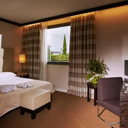 Hotel Pisa Valdera 4*
